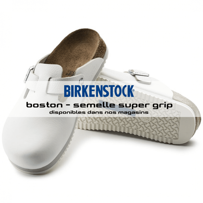 boston-blanches-accueuil-vetipro-800x800 boston-blanches-accueuil-vetipro-800x800